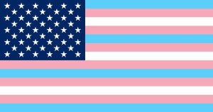 Joe Biden trans flag 2