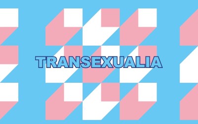 WhatsApp Image 2026-02-19 at 17.08.56